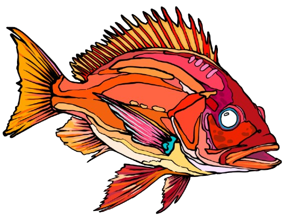 Pargo